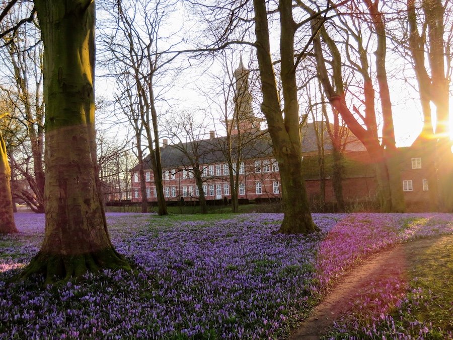 schlosspark-husum.JPG